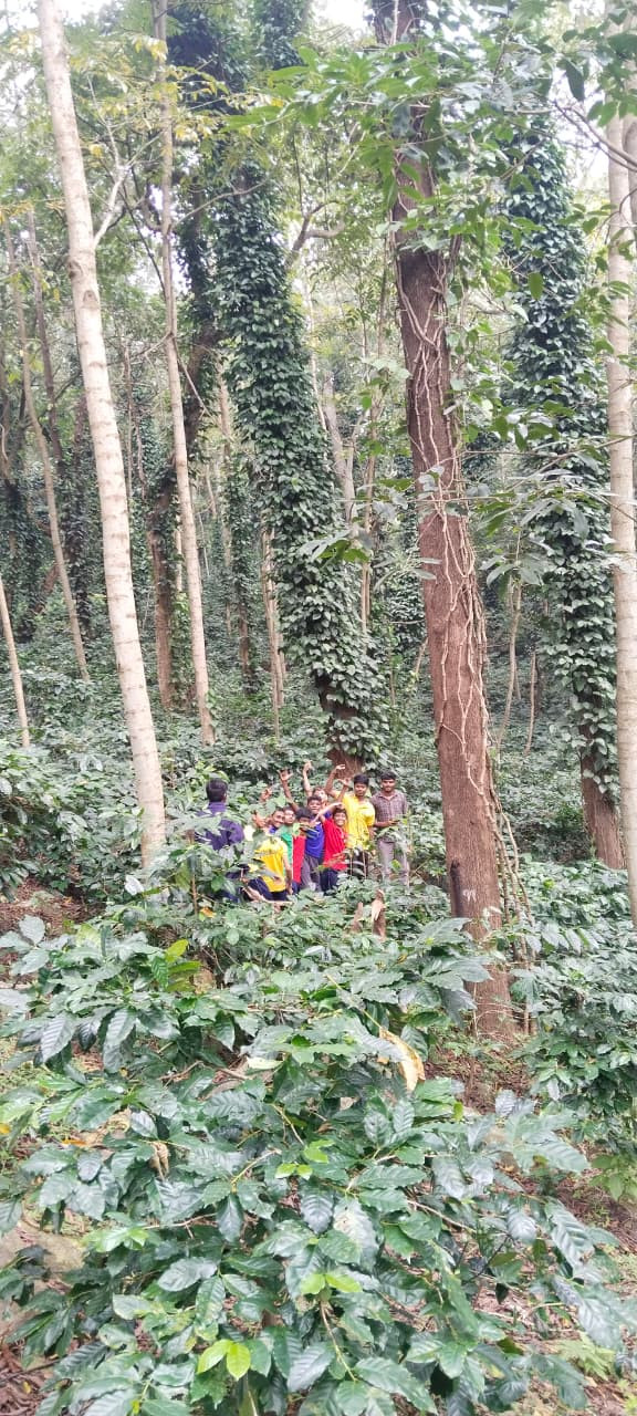 School Picnic to Araku Valley - Classes 8th and 9th